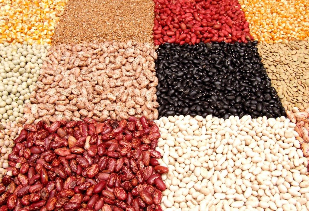 different types of dried beans